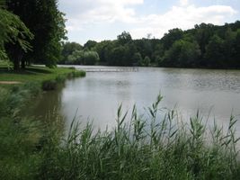 Rokytka 1-Koupaliště Xaverov-3.6.09 (2).JPG